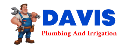 Trusted plumber in SHUBERT